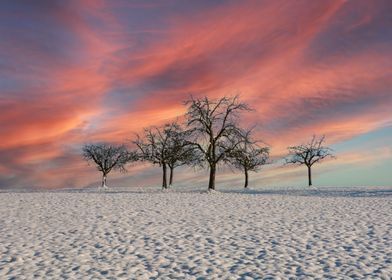 A winter day