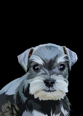 Mini schnauzer dog