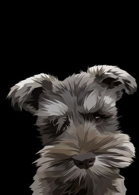 Mini schnauzer dog