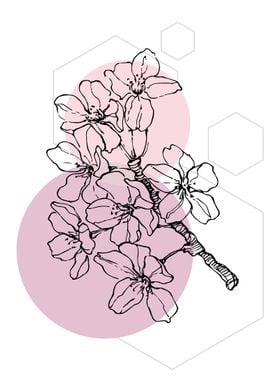 Sakura  Minimal