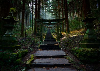 Evergreen Torii Gate