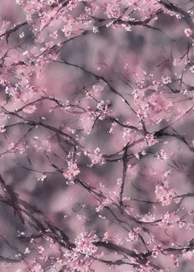 Japanese Cherry Blossom 2