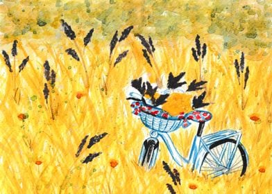 Bicycle in the field 