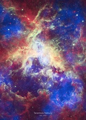 Tarantula Nebula