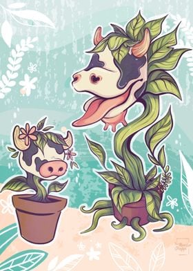 Cow Plant