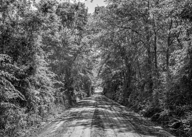 Southern Dirt Road