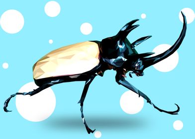 Rhinoceros Beetle