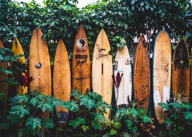 Wall of Surf Boards