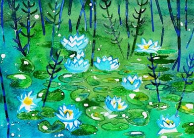 Water Lilies 