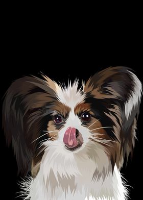 Papillon dog in vector