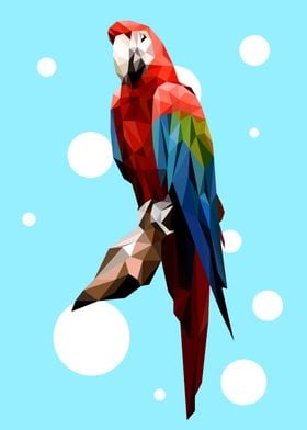 Parrot