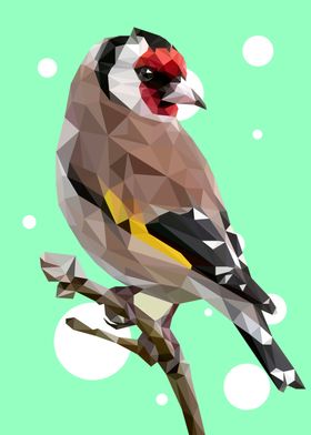 European Goldfinch