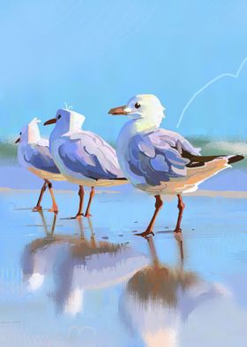 Seagull gang