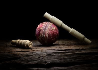Cricket ball and bails
