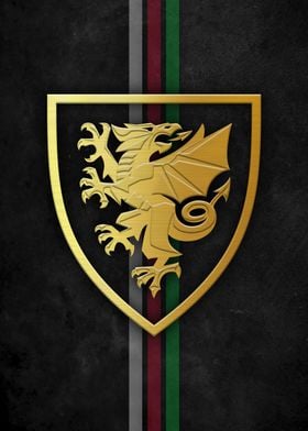 Wales Football Emblem