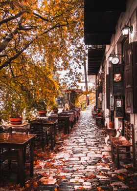 Greek Village in Autumn