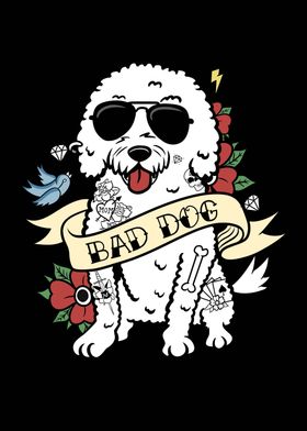 Bichon Frise Bad Dog 