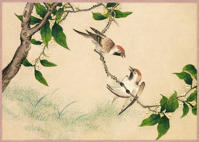 Gossiping Sparrows 18th C