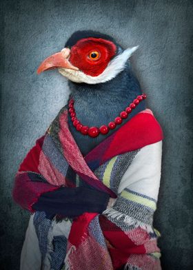 Bird in Clothes