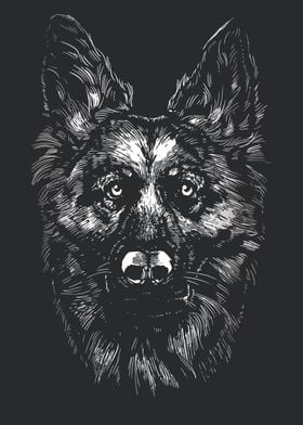 German Shepherd Dog Face