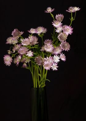 Purple flowers in a vase