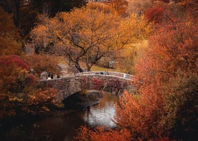 Autumn Scenery of Bridge