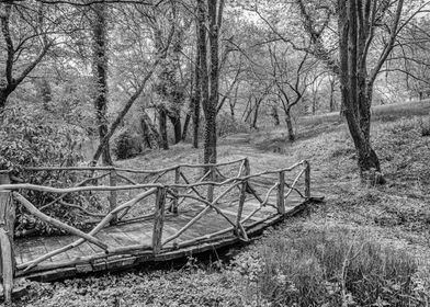 Hiking Trail Bridge