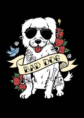 Maltese Bad Dog 