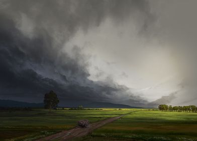 Stormy Meadows