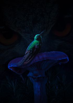 Hummingbird on a Mushroom