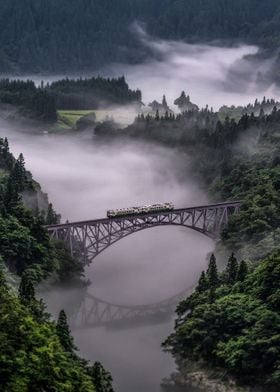 Train in Natural Crossing