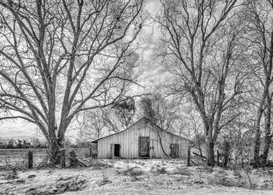 January Snow Day Shed