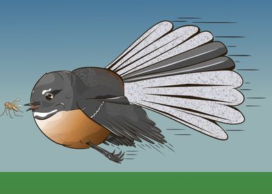 fantail eating insects