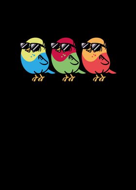 Three birds with sunglasse