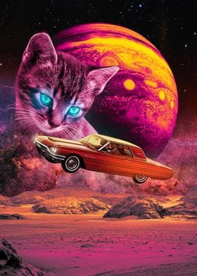 Cat and A Car