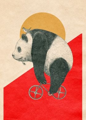 Bike and Panda 
