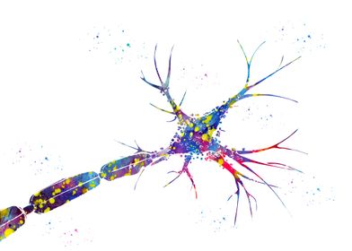 Nerve Cell Art 
