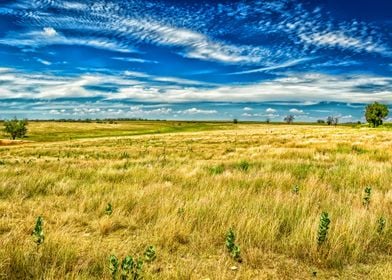 Santa Fe Trail Ruts