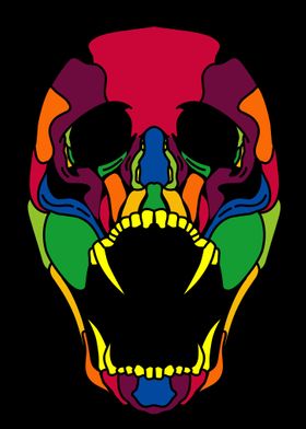 skull bone color