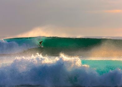 Surfing Galapagos