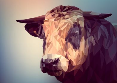 cow polygon