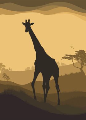 Giraffe in Africa