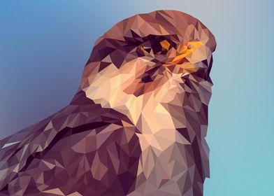 bird polygon