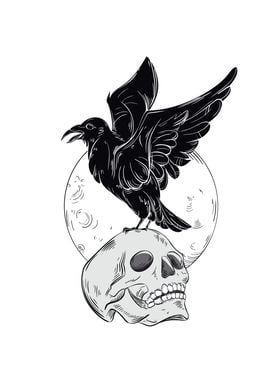 Black raven on a skull