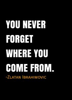 Zlatan Ibrahimovic quotes 