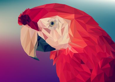 parrot polygon