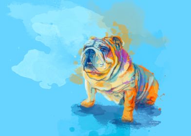 English Bulldog Dog Illust