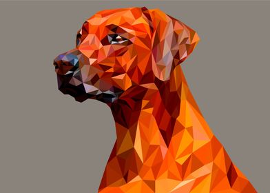 dog polygon straight face