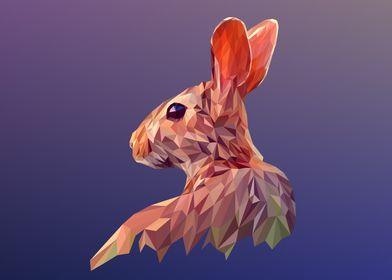 rabbit polygon