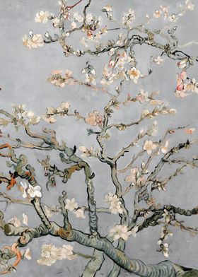 Almond Blossoms in Gray